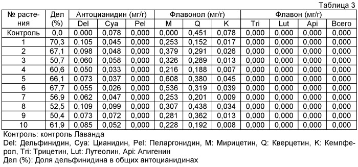 Роза, содержащая флавон и мальдивин, и способ ее получения (патент 2463348)