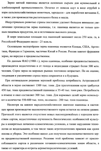 Способ возделывания яровой пшеницы предпочтительно в зоне светло-каштановых почв нижнего поволжья (варианты) (патент 2348137)