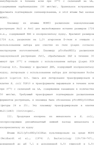 Полимеры изопрена из возобновляемых источников (патент 2505605)