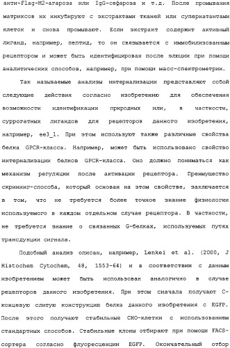 Ее3-семейство белков и соответствующие днк-последовательности (патент 2333918)