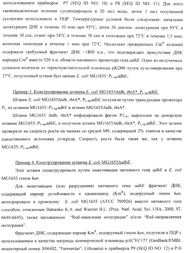 Способ получения l-аминокислоты с использованием бактерии, принадлежащей к роду escherichia (патент 2395579)