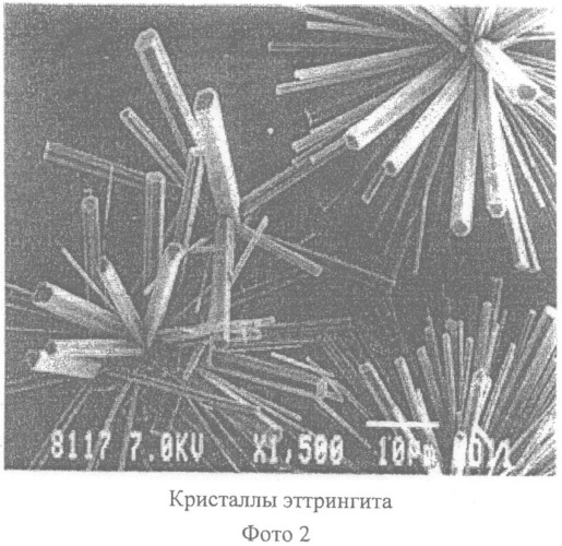 Якорь для погружения и фиксации на дне подводных научных приборов (патент 2509676)