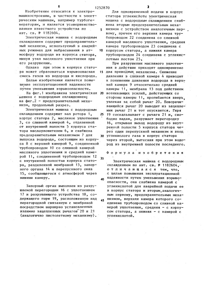 Электрическая машина с водородным охлаждением (патент 1252870)