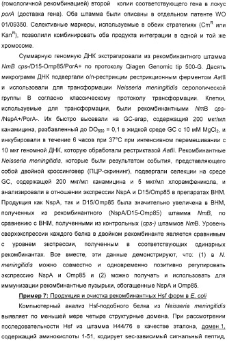 Нейссериальные вакцинные композиции, содержащие комбинацию антигенов (патент 2317106)