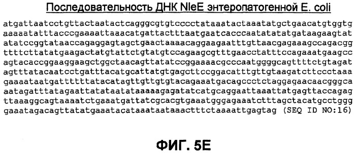 Бактериальные факторы вирулентности и варианты их применения (патент 2465331)