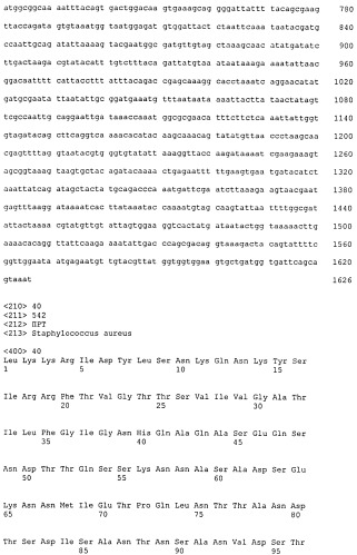 Иммуногенные композиции антигенов staphylococcus aureus (патент 2536981)