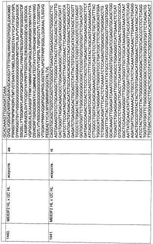 Pscaxcd3, cd19xcd3, c-metxcd3, эндосиалинxcd3, epcamxcd3, igf-1rxcd3 или fap-альфаxcd3 биспецифическое одноцепочечное антитело с межвидовой специфичностью (патент 2547600)