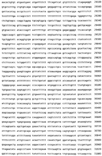 Применение s1p (патент 2362565)