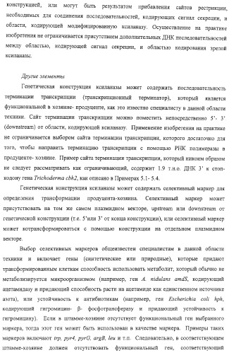Модифицированная ксиланаза (патент 2394909)