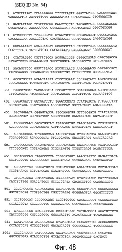 Способ получения сложного эфира углерода, сложного эфира белка, сложного эфира белковой субъединицы или сложного эфира гидроксикислоты с использованием липидацилтрансферазы (патент 2371474)