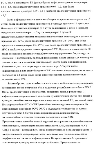 Поливалентные иммуногенные композиции pcv2 и способы получения таких композиций (патент 2488407)