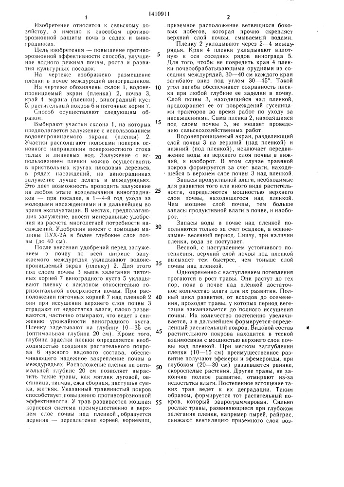 Способ борьбы с эрозией почв в садах и виноградниках (патент 1410911)