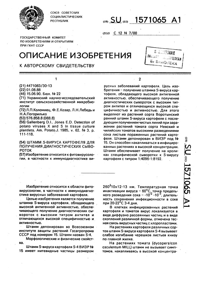 Штамм s - вируса картофеля для получения диагностических сывороток (патент 1571065)