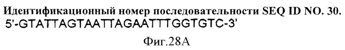 Иммуногенный эпитоп вируса гриппа (патент 2546872)