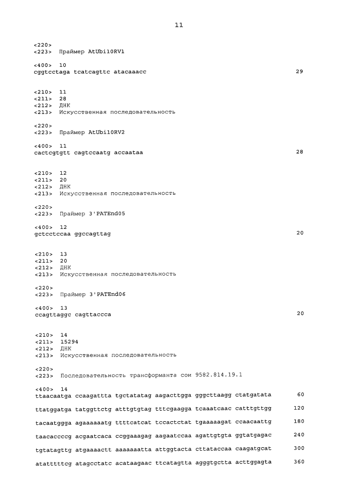 Способ обнаружения трансформанта сои рdab9582.814.19.1 (патент 2622079)