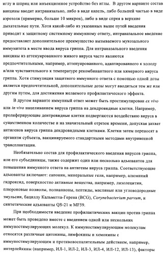 Способы и композиции для экспрессии антисмысловой вирусной рнк в клетках собаки (патент 2457250)