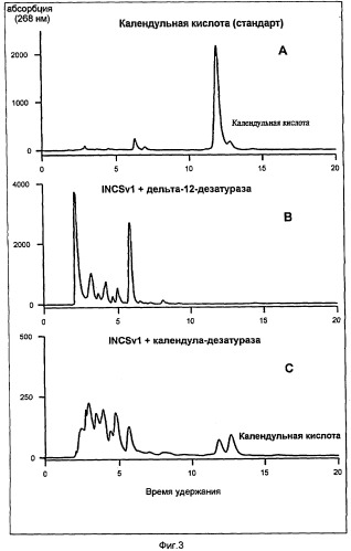 Ген десатуразы кислоты жирного ряда из растений (патент 2274657)