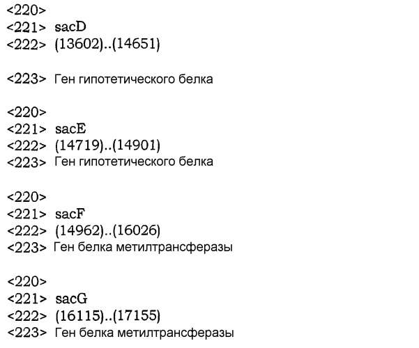 Генный кластер, участвующий в биосинтезе сафрацина, и его применение в генной инженерии (патент 2385935)