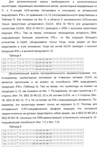 Мотивы последовательности рнк в контексте определенных межнуклеотидных связей, индуцирующие специфические иммуномодулирующие профили (патент 2435851)