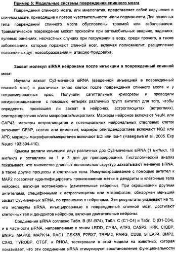 Новые структуры малых интерферирующих рнк (sirna) (патент 2487716)