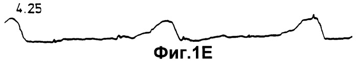Способ получения трансгенного животного (патент 2252533)