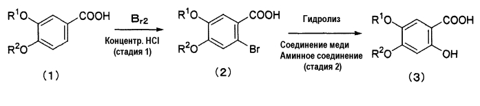Способ получения 2-бром-4,5-диалкоксибензойной кислоты (патент 2576520)