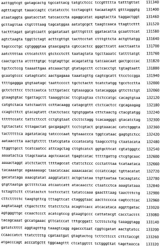 Бактериофаг, обладающий активностью против pseudomonas aeruginosa, белки бактериофага и способы их применения (патент 2580248)