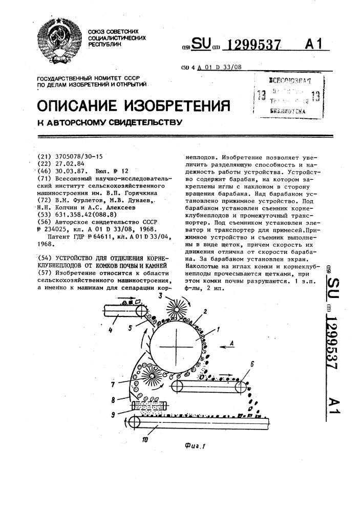 Устройство для отделения корнеклубнеплодов от комков почвы и камней (патент 1299537)