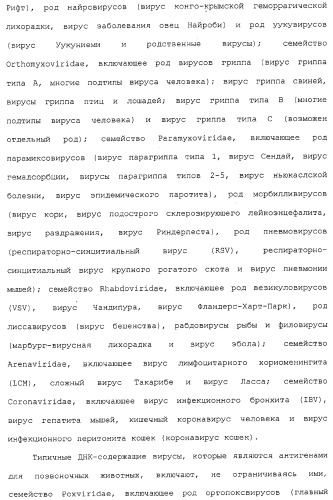 Композиции, содержащие cpg-олигонуклеотиды и вирусоподобные частицы, для применения в качестве адъювантов (патент 2322257)