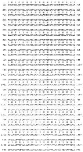 Функциональные вирусоподобные частицы гриппа (vlps) (патент 2483751)