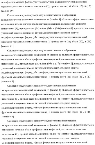 Иммуногенные композиции, содержащие lawsonia intracellularis (патент 2443430)