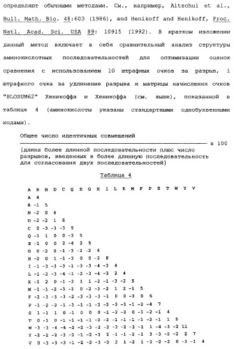 Новый лиганд рецептора цитокина zcytor17 (патент 2360923)