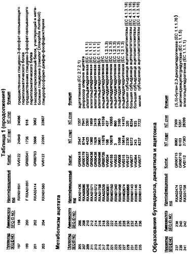 Гены corynebacterium glutamicum, кодирующие белки, участвующие в метаболизме углерода и продуцировании энергии (патент 2310686)