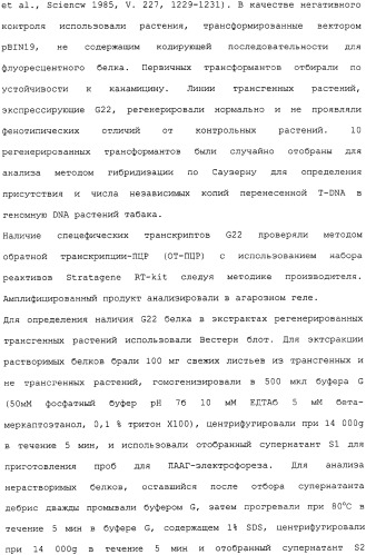 Новые флуоресцирующие белки aequorea coerulscens и способы их применения (патент 2330886)