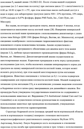 Способ лечения и предупреждения потери костной ткани (патент 2319483)