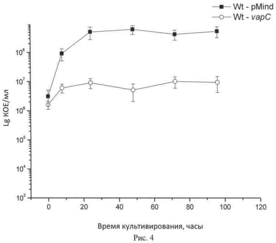 Рекомбинантная плазмидная днк pmind-vapc, содержащая нуклеотидную последовательность, кодирующую ген vapc msmeg_1284 (патент 2524143)