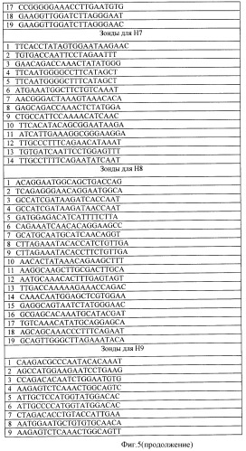 Способ выбора днк-зондов для микрочиповой диагностики, биочип и способ типирования гена нейраминидазы и гемагглютинина вируса гриппа а (патент 2470076)