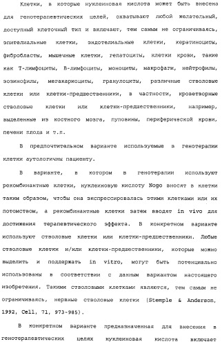 Поликлональное антитело против nogo, фармацевтическая композиция и применение антитела для изготовления лекарственного средства (патент 2432364)