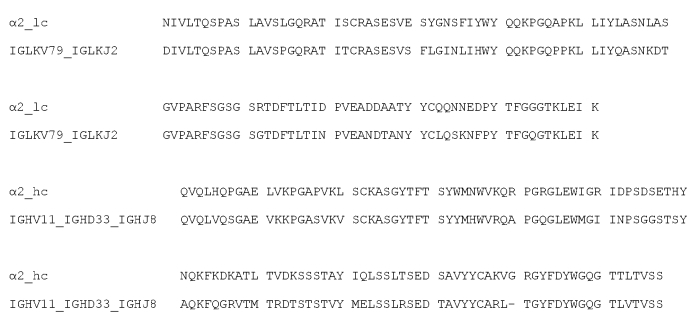 Пептид или пептидный комплекс, связывающийся с альфа2-интегрином, способы его получения и применения указанного вещества (патент 2588668)