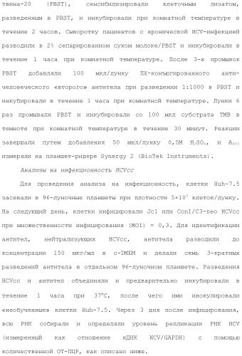 Антитела против вируса гепатита с (патент 2462475)