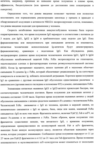 Моноклональные антитела против nkg2a (патент 2481356)