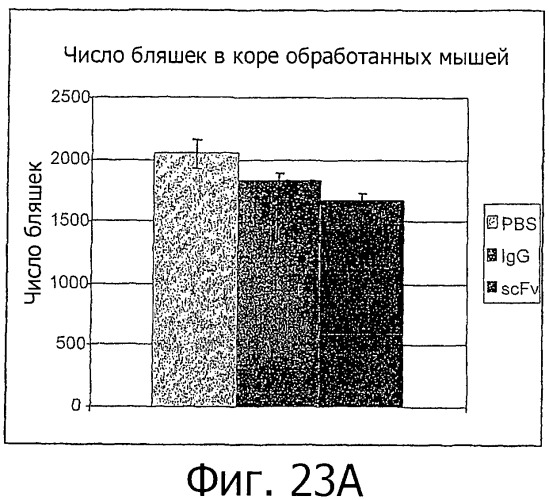 Гуманизированные антитела к  -амилоидному пептиду (патент 2475500)