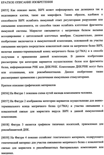 Иммуногенная композиция и способ разработки вакцины, основанной на участках матричного белка вич (патент 2403915)