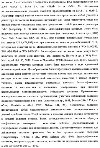 Биспецифические антитела к erb-b и их применение для лечения опухолей (патент 2349340)