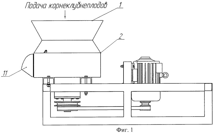 Измельчитель корнеклубнеплодов (патент 2467555)