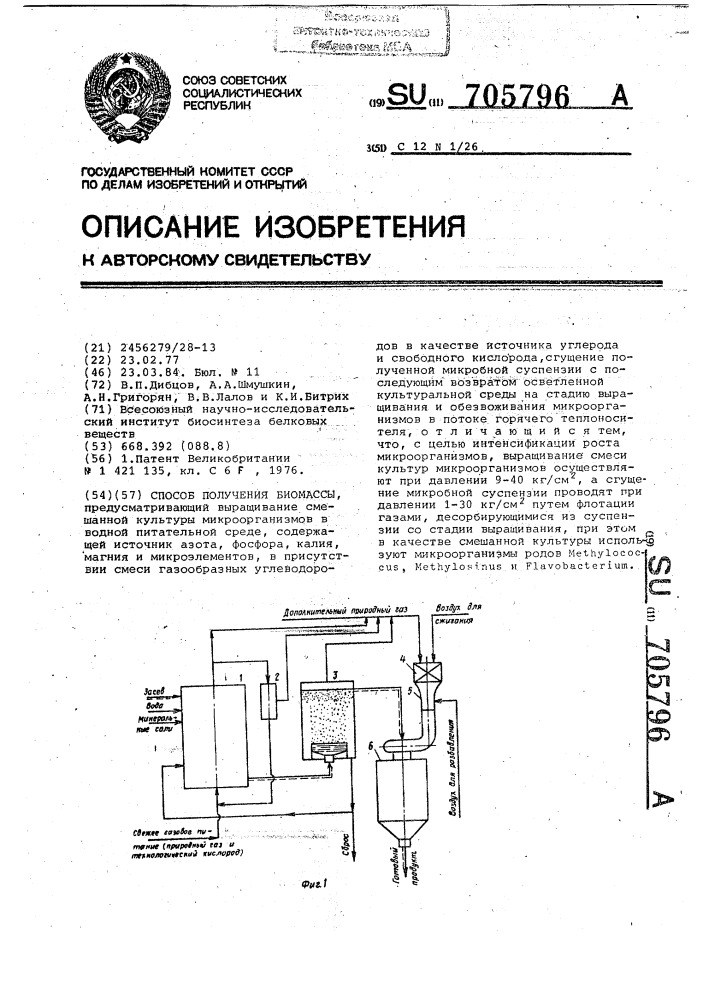 Способ получения биомассы (патент 705796)