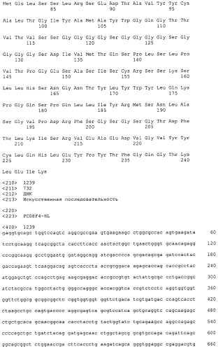 Pscaxcd3, cd19xcd3, c-metxcd3, эндосиалинxcd3, epcamxcd3, igf-1rxcd3 или fap-альфаxcd3 биспецифическое одноцепочечное антитело с межвидовой специфичностью (патент 2547600)