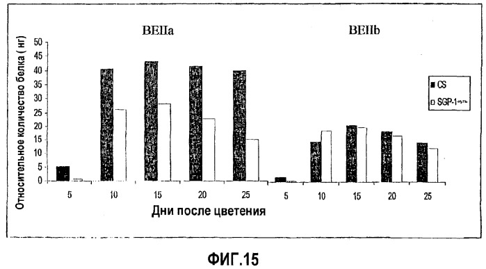 Пшеница с модифицированной активностью ветвящего фермента, а также полученные из нее крахмал и крахмалсодержащие продукты (патент 2377303)