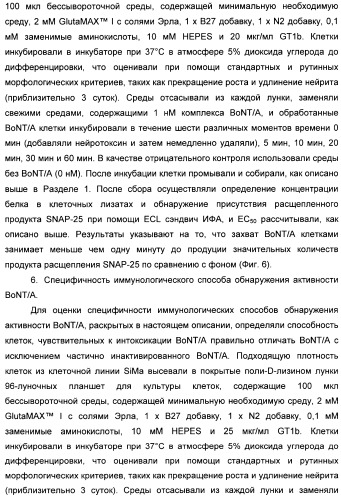 Иммунологические анализы активности ботулинического токсина серотипа а (патент 2491293)