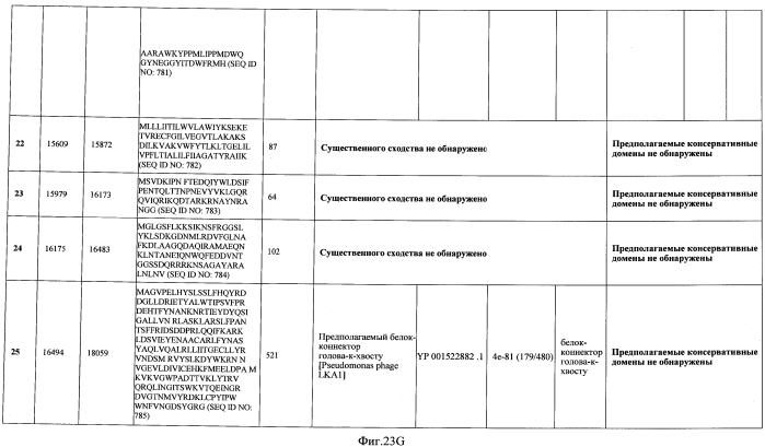 Бактериофаг, обладающий активностью против pseudomonas aeruginosa, белки бактериофага и способы их применения (патент 2580248)